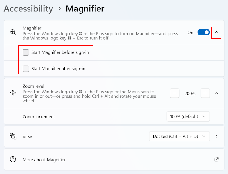 Click a Start Magnifier option to have the Magnifier launch when Windows starts